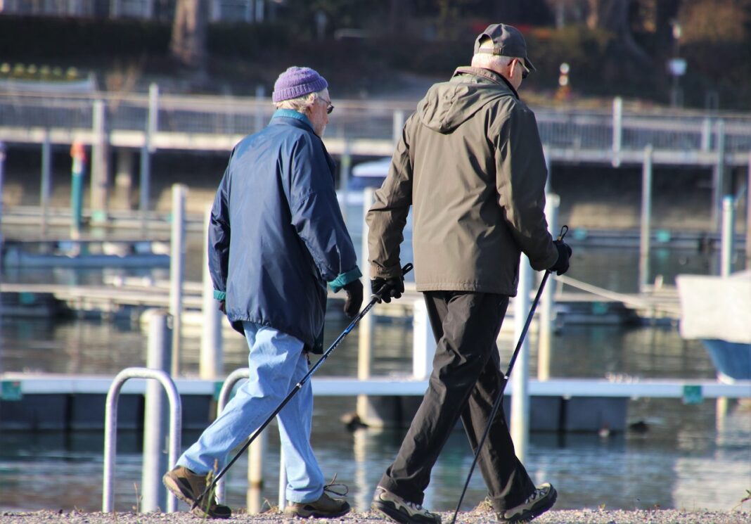 Staatliche Rente und private Vorsorge im Vergleich: Was passt zu Ihnen?